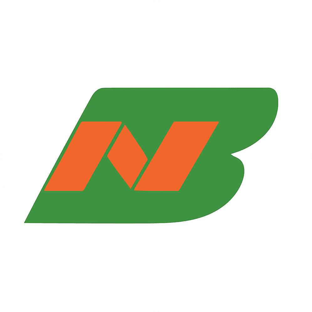 Barracosa Nunes Logo